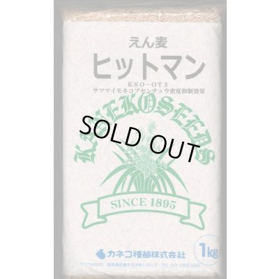 画像1: [緑肥]　えん麦　ヒットマン　1kg　カネコ種苗(株)