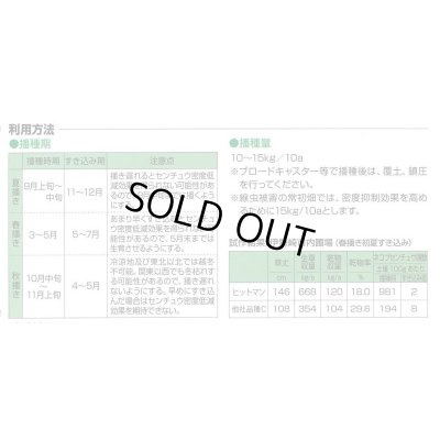 画像3: [緑肥]　えん麦　ヒットマン　1kg　カネコ種苗(株)