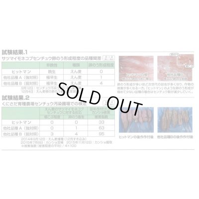 画像4: [緑肥]　えん麦　ヒットマン　1kg　カネコ種苗(株)