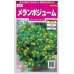 画像1: 花の種　メランポジューム　約50粒 　サカタのタネ（株）　実咲350 (1)
