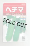 送料無料　ヘチマ　約35粒　  (株)サカタのタネ　実咲250（002864）