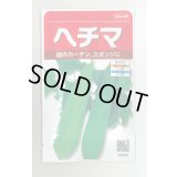 送料無料　ヘチマ　約35粒　  (株)サカタのタネ　実咲250（002864）