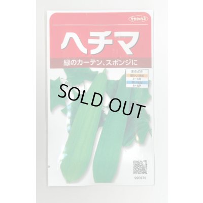 画像1: 送料無料　ヘチマ　約35粒　  (株)サカタのタネ　実咲250（002864）