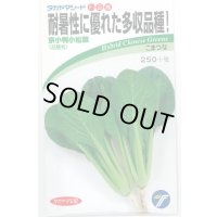 [小松菜] 京小判小松菜 6ml (株)タカヤマシード