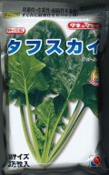 [ほうれんそう]　タフスカイ　Ｍサイズ　3万粒　タキイ種苗(株)