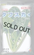 [ほうれんそう]　タフスカイ　Ｍサイズ　3万粒　タキイ種苗(株)