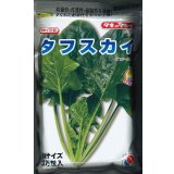 [ほうれんそう]　タフスカイ　Ｍサイズ　3万粒　タキイ種苗(株)