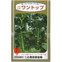 [キュウリ]　送料無料！ワントップ　350粒　（株）ときわ研究場