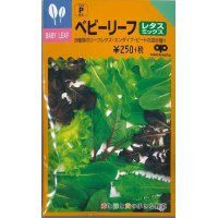 [葉物]ベビーリーフ　レタスミックス　20ml（およそ8100粒）　中原採種場（株）