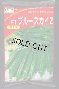 送料無料　[オクラ]　ブルースカイZ　1L　ヴィルモランみかど（株）