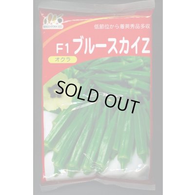画像1: 送料無料　[オクラ]　ブルースカイZ　1L　ヴィルモランみかど（株）