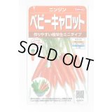 送料無料　[人参]　ベビーキャロット　ミニニンジン　約1200粒　(株)サカタのタネ　実咲250（003117）