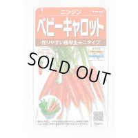 送料無料　[人参]　ベビーキャロット　ミニニンジン　約1200粒　(株)サカタのタネ　実咲250（003117）