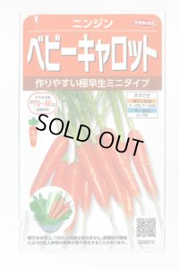 送料無料　[人参]　ベビーキャロット　ミニニンジン　約1200粒　(株)サカタのタネ　実咲250（003117）
