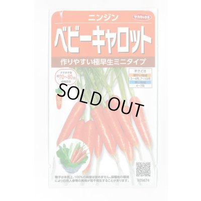 画像1: [人参] ベビーキャロット ミニニンジン 約800粒 (株)サカタのタネ 実咲250(003117)