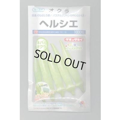 画像1: 送料無料　[オクラ]　ヘルシエ　1000粒　タキイ種苗(株)