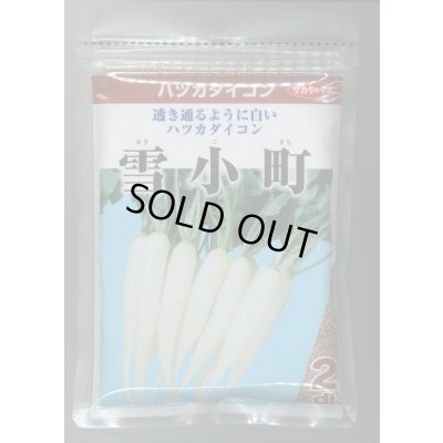 画像1: 送料無料　[大根]　はつかだいこん　雪小町　2dl　(株)サカタのタネ