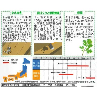 画像2: 送料無料　[セロリ]　スープセロリ　約2600粒　(株)サカタのタネ　実咲250（002998）