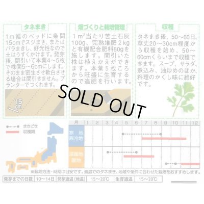 画像2: 送料無料　[セロリ]　スープセロリ　約2600粒　(株)サカタのタネ　実咲250（002998）
