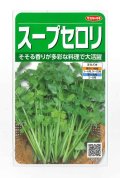 送料無料　[セロリ]　スープセロリ　約2600粒　(株)サカタのタネ　実咲250（002998）