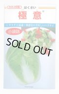 送料無料　[白菜]　極意　1.5ml　カネコ交配