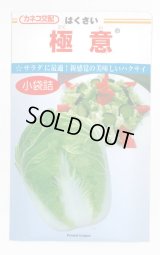 送料無料　[白菜]　極意　1.5ml　カネコ交配