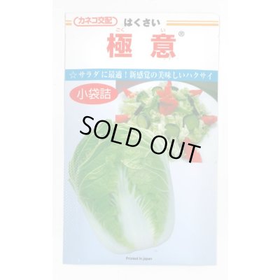 画像1: 送料無料　[白菜]　極意　1.5ml　カネコ交配