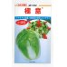画像1: [白菜]　極意　1.3ml　カネコ交配 (1)