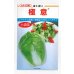 画像1: 送料無料　[白菜]　極意　1.5ml　カネコ交配 (1)