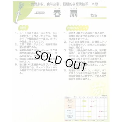 画像2: 送料無料 [ねぎ] 春扇 20ml(裸種子) (株)サカタのタネ