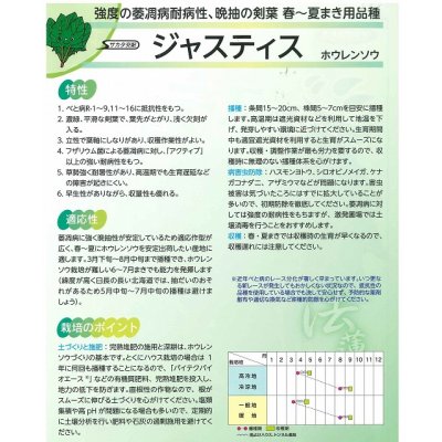 画像5: [ほうれんそう] ジャスティス 種子サイズ M 3万粒 （株）サカタのタネ
