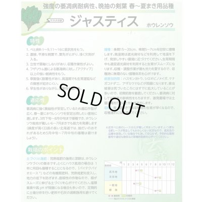 画像5: [ほうれんそう]　ジャスティス　種子サイズ　M　3万粒　（株）サカタのタネ