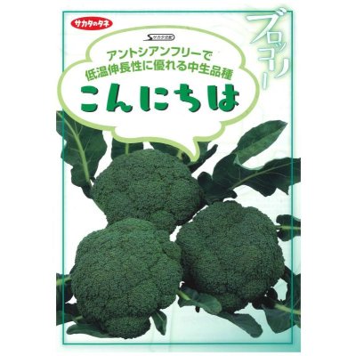 画像2: 送料無料　[ブロッコリー]　こんにちは　ペレット5000粒　(株)サカタのタネ