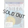 送料無料　[かぼちゃ]　くりほまれ　100粒　(株)サカタのタネ