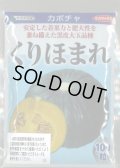 送料無料　[かぼちゃ]　くりほまれ　100粒　(株)サカタのタネ