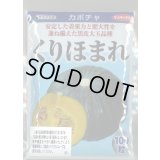 送料無料　[かぼちゃ]　くりほまれ　100粒　(株)サカタのタネ