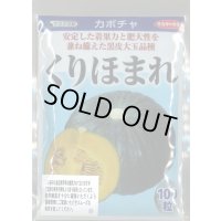 送料無料　[かぼちゃ]　くりほまれ　100粒　(株)サカタのタネ