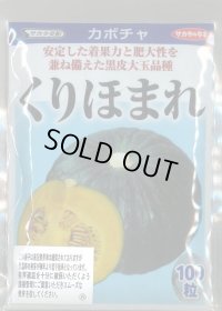 送料無料　[かぼちゃ]　くりほまれ　100粒　(株)サカタのタネ
