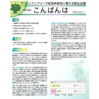 画像3: 送料無料　[ブロッコリー]　こんばんは　2000粒　(株)サカタのタネ