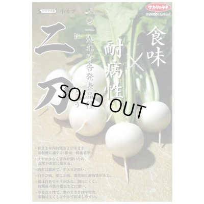 画像3: 送料無料　[かぶ]　二刀　20ml　(株)サカタのタネ
