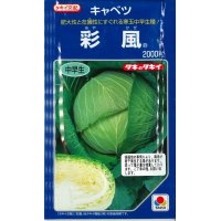 [キャベツ]　彩風　2000粒  タキイ種苗（株）