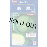 [キャベツ] 彩風 2000粒 タキイ種苗(株)