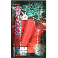 [人参]　恋うさぎ　　250粒　ナント種苗（株）