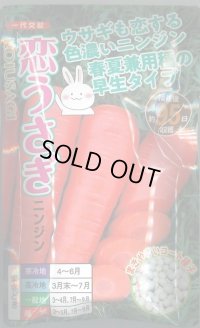 送料無料　[人参]　恋うさぎ　250粒　ナント種苗(株)