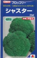 送料無料　[ブロッコリー]　シャスター　20ml　タキイ種苗(株)