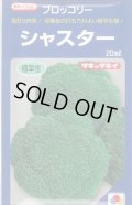 送料無料　[ブロッコリー]　シャスター　20ml　タキイ種苗(株)