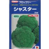 送料無料　[ブロッコリー]　シャスター　20ml　タキイ種苗(株)