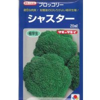 送料無料　[ブロッコリー]　シャスター　20ml　タキイ種苗(株)