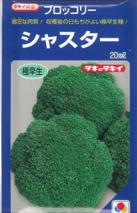 送料無料　[ブロッコリー]　シャスター　20ml　タキイ種苗(株)
