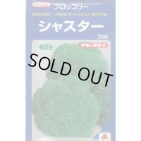 [ブロッコリー]　シャスター　20ｍｌ　タキイ種苗（株）